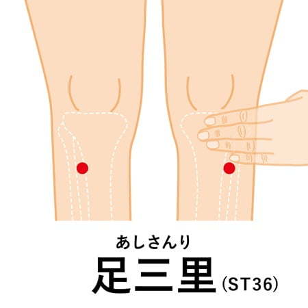 足三里